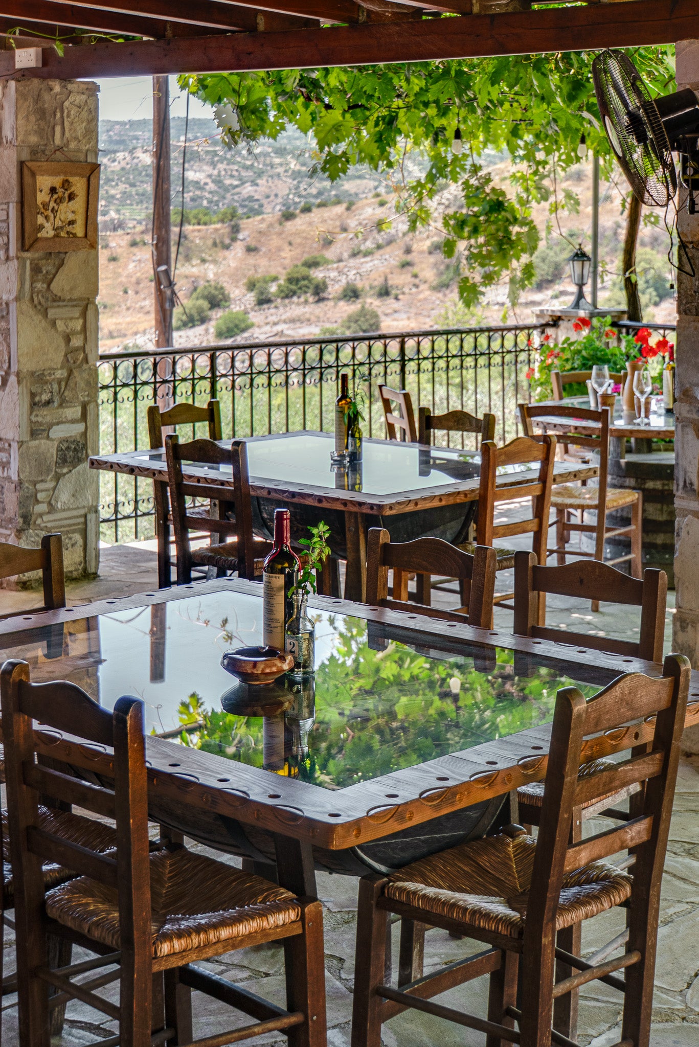 Organic Wine Journey