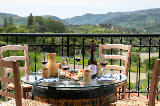 Wine Tasting Experience